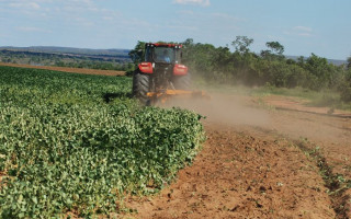 O agricultor foi multado em R$ 7.200 por infrações administrativas