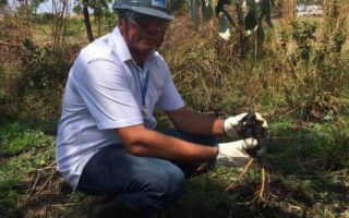 Parceria entre BRK Ambiental e Projeto 