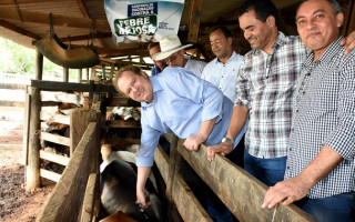 Carlesse também destacou a qualidade do rebanho bovino tocantinense.