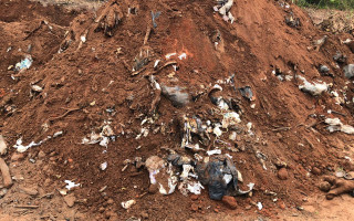 Lixo hospitalar encontrado enterrado em fazenda da família de Olyntho Neto