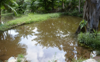 Projeto realizará a macro e microdrenagem dos córregos Neblina e Jacuba, implantação do Parque Urbano Nascentes do Neblina e pavimentação de 12 bairros.