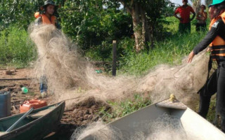 Dos 12.500 m² de material apreendido, cerca de oito mil metros se encontravam nos municípios de Araguanã e Xambioá