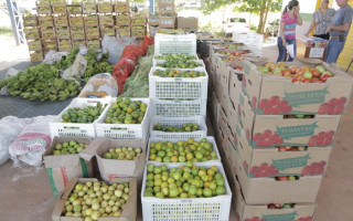 Pequemos produtores rurais têm até 24 de janeiro para apresentar documentação e proposta de venda à Secretaria de Educação