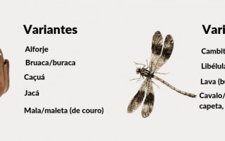 Resultados obtidos demonstram que o Tocantins pode ser dividido em dois subfalares