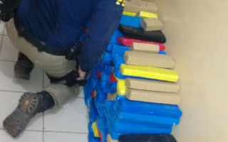 PRF localizou vários tabletes de substância análoga à maconha, um total de 248,5 kg.