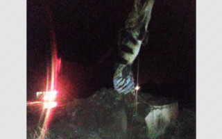 Veículo atingiu estátua de tucunaré no trevo de Babaçulândia.