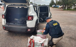 PRF apreendeu 96 kg de maconha que estava no veículo.