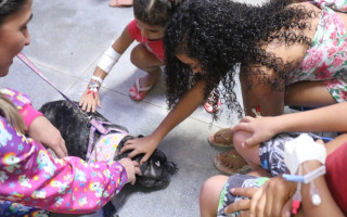 Todos os cãezinhos estavam com as vacinas em dia e não tiveram acesso ao interior do HMA, ficando apenas na recepção.