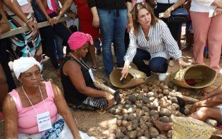 A senadora irá solicitar ao Ministerio da Agricultura, o projeto para requerer o registro junto à Delefacia Federal no Tocantins
