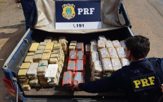 Os 262 tabletes de cocaina estavam no fundo falso da carreta