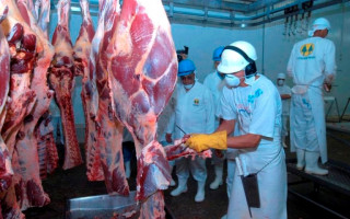 O resultado se dá graças ao trabalho de sanidade do rebanho para alcançar os mercados mais exigentes.