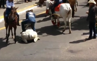 Vídeo gravado em Araguaína após a cavalgada