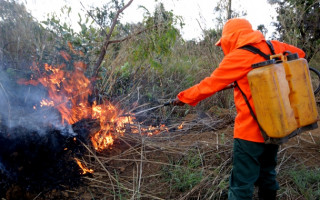 Queima controlada está suspensa em todo o Tocantins