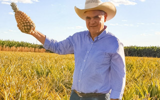 A cadeia produtiva de fruticultura tem se destacado no Tocantins