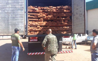 Fiscais Ambientais apreendem caminhão com madeira irregular