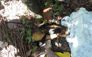 O caso ocorreu perto do povoado Transaraguaia
