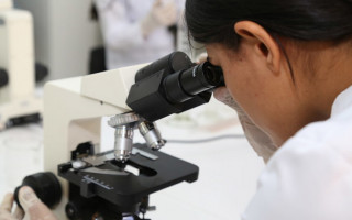 Pesquisadores tocantinenses realizam estudos científicos em diversas instituições de ensino do Estado em parceria com a Fapt