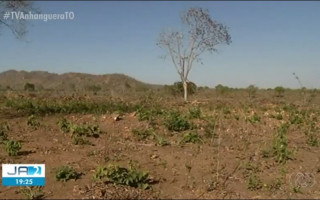 Área desmatada no Tocantins