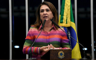 Senadora Kátia abreu (PDT-TO)