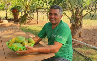 O produtor rural Bartolomeu dos Santos apostou no cultivo de mamão em sua propriedade