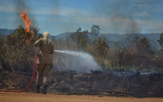 Governo do Tocantins diz estar empenhado no combate às queimadas e incêndios florestais, mas depende de recursos 