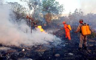 Brigadistas realizam trabalho árduo contra os focos de incêndios 