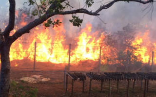 Incêndio próximo ao IFTO em Palmas 