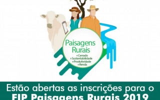 Interessados em prestar serviços de consultoria devem se inscrever até o dia 16 de setembro.