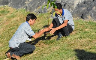 Até o final de setembro 1500 mudas serão plantadas em vários pontos da cidade.