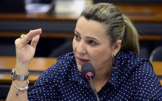 Deputada Federal Dulce Miranda