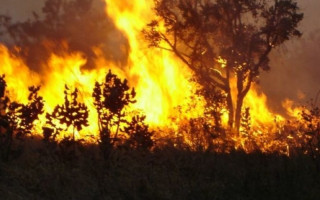 Fogo foi ateado às margens da rodovia TO-050, sentido Porto Nacional-Palmas.