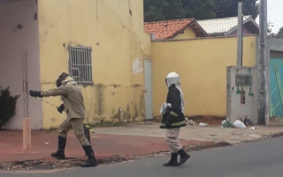 Bombeiros isolaram duas quadras devido ao ataque das abelhas.