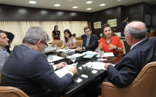 Senadora Kátia Abreu está a frente da iniciativa para debater a adoção tardia no TO.