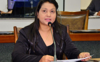 Deputada Vanda Monteiro é autora da proposta.