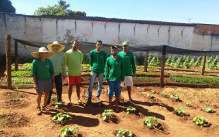 Na horta estão sendo colhidas aproximadamente 15 variedades de hortaliças e leguminosas