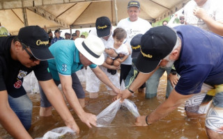 No último sábado (19) foram reintroduzidos mais de 10 mil alevinos de espécies nativas no Lago Azul.