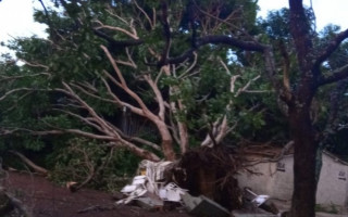 Temporal derruba árvores e postes em Marianópolis (TO)