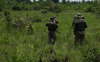 Policiais militares realizam incursão na mata