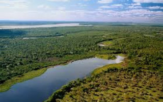 Ilha do Bananal.