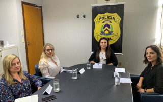 Todas as Delegacias Especializadas em Atendimento à Mulher (DEAMs) participam da Operação