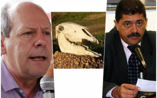 Dimas compara imbróglio de obra de posto a cabeça de burro enterrada. 