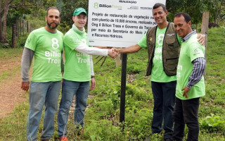 10 mil mudas nativas foram plantadas nesta fase do projeto.