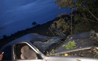 Veículo caiu numa ribanceira e ficou parcialmente destruído. 
