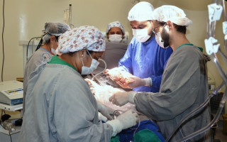 Foram captados os rins e o fígado, beneficiando três receptores em São Paulo.