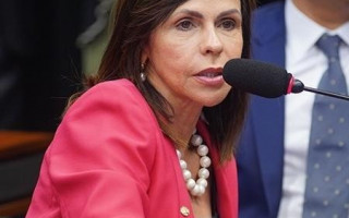 Deputada Federal Professora Dorinha (DEM-TO)