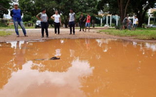 Jacaré foi encontrado em poça de lama.