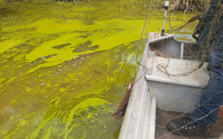 Membros da comissão especial investigará possível contaminação no Lago de Palmas.
