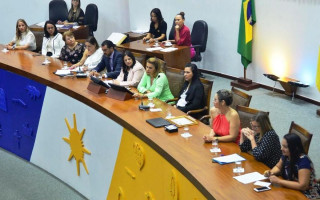 Parlamentares querem maior participação das mulheres na política