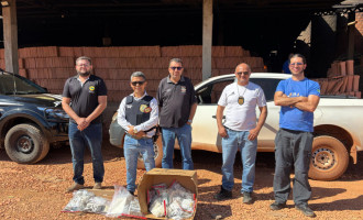 Polícia Civil incinera mais de 7 kg de entorpecentes apreendidos durante ações no interior do Tocantins 