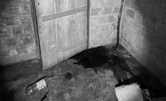  Mulher foi morta com extrema violência na zona rural de Nova Olinda; autor está foragido.